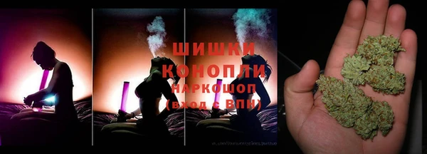 spice Богданович