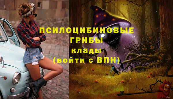 прущая мука Бородино